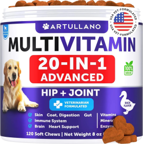 Dog Multivitamin Chewable With Glucosamine 20 In 1 Dog Vitamins And Supplements Senior & Puppy Multivitamin For Dogs Pet Joint Support Health Imm (Option: Artullano)